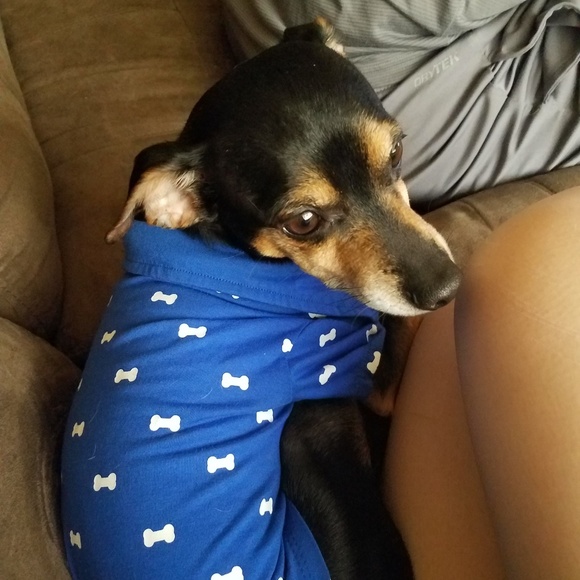 I'm a Posh Ambassador🎊🎉🎀😊😄 - Picture 7 of 8